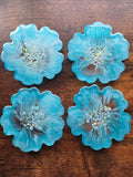 Sea Bloom Mini Coaster Set