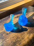 Skyglow Bloom Birds