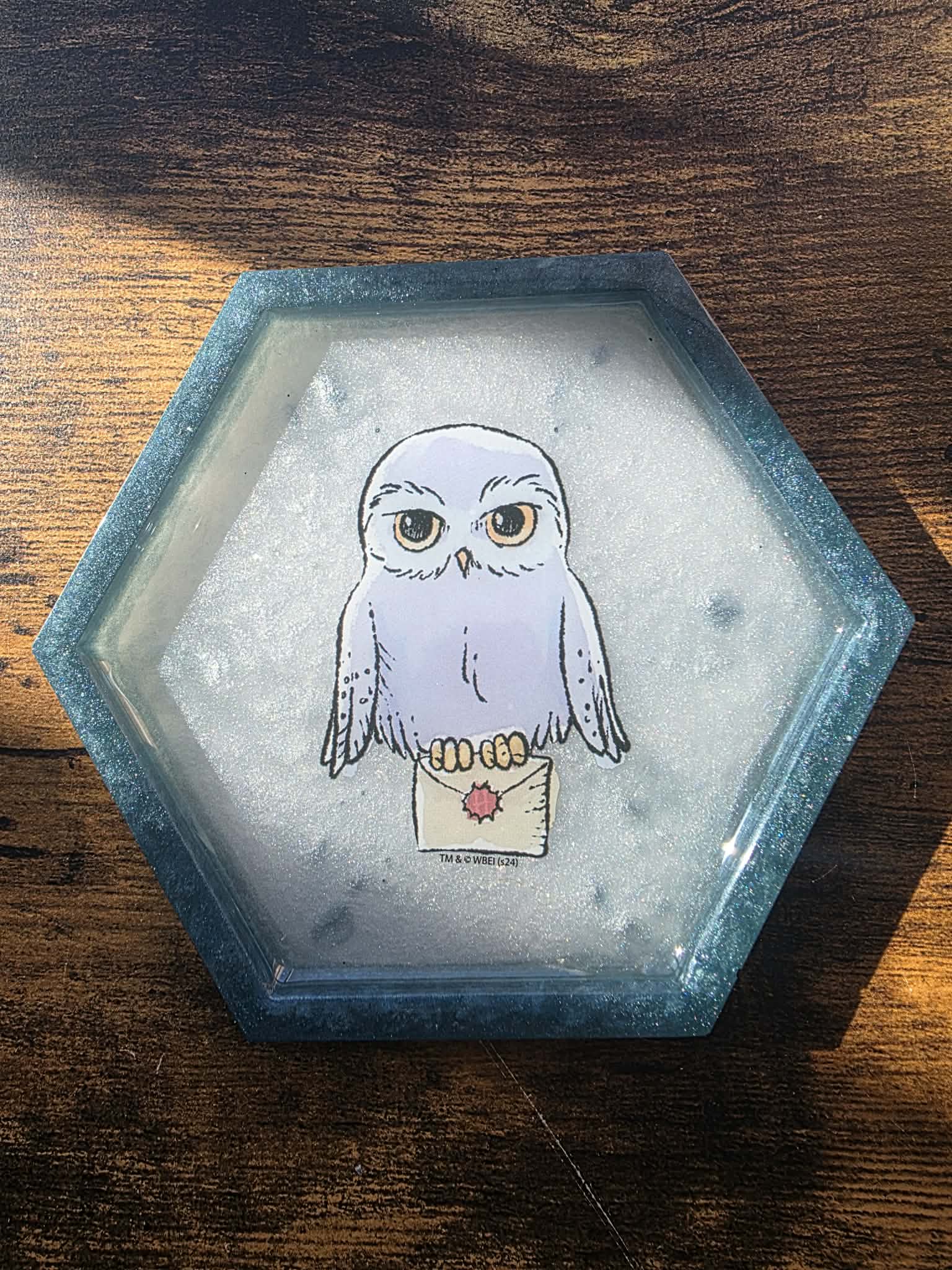 Owl Post Coaster