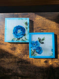 Bluebell Veil Coasters – Set of 2