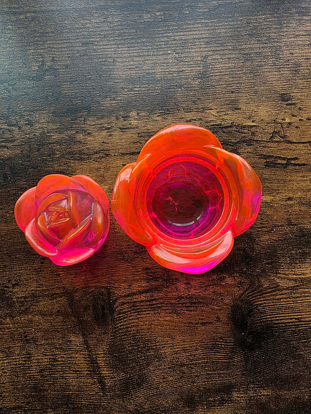 Spellflame Enchanted Rose ~ petite bloom