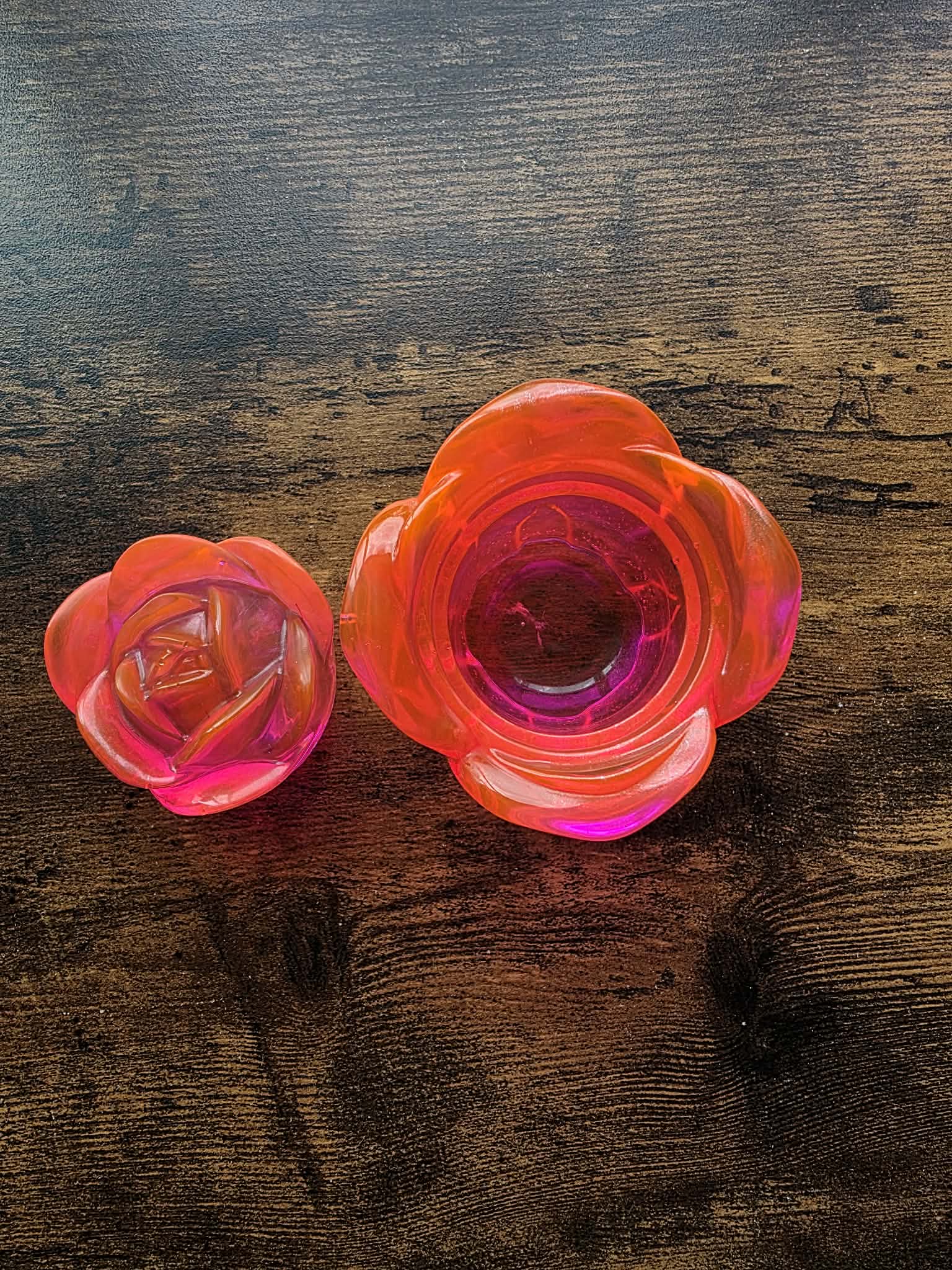 Spellflame Enchanted Rose ~ petite bloom