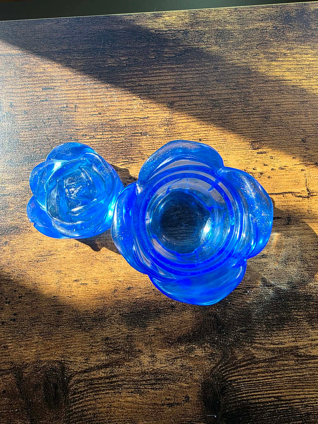 Sapphire Enchanted Rose ~ petite bloom