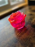 Spellflame Enchanted Rose ~ petite bloom
