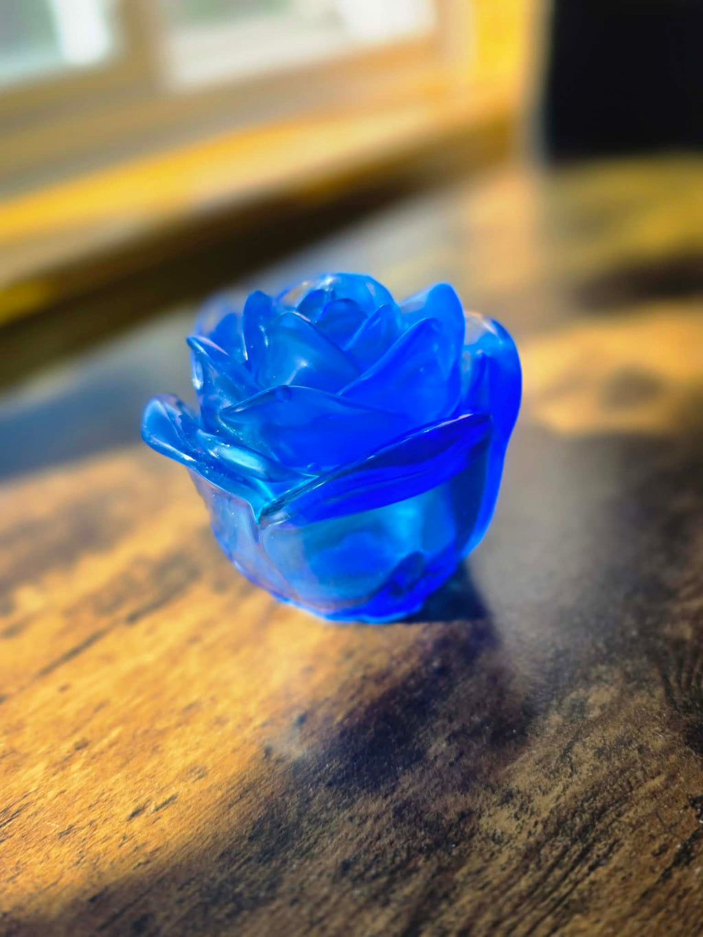 Sapphire Enchanted Rose ~ petite bloom