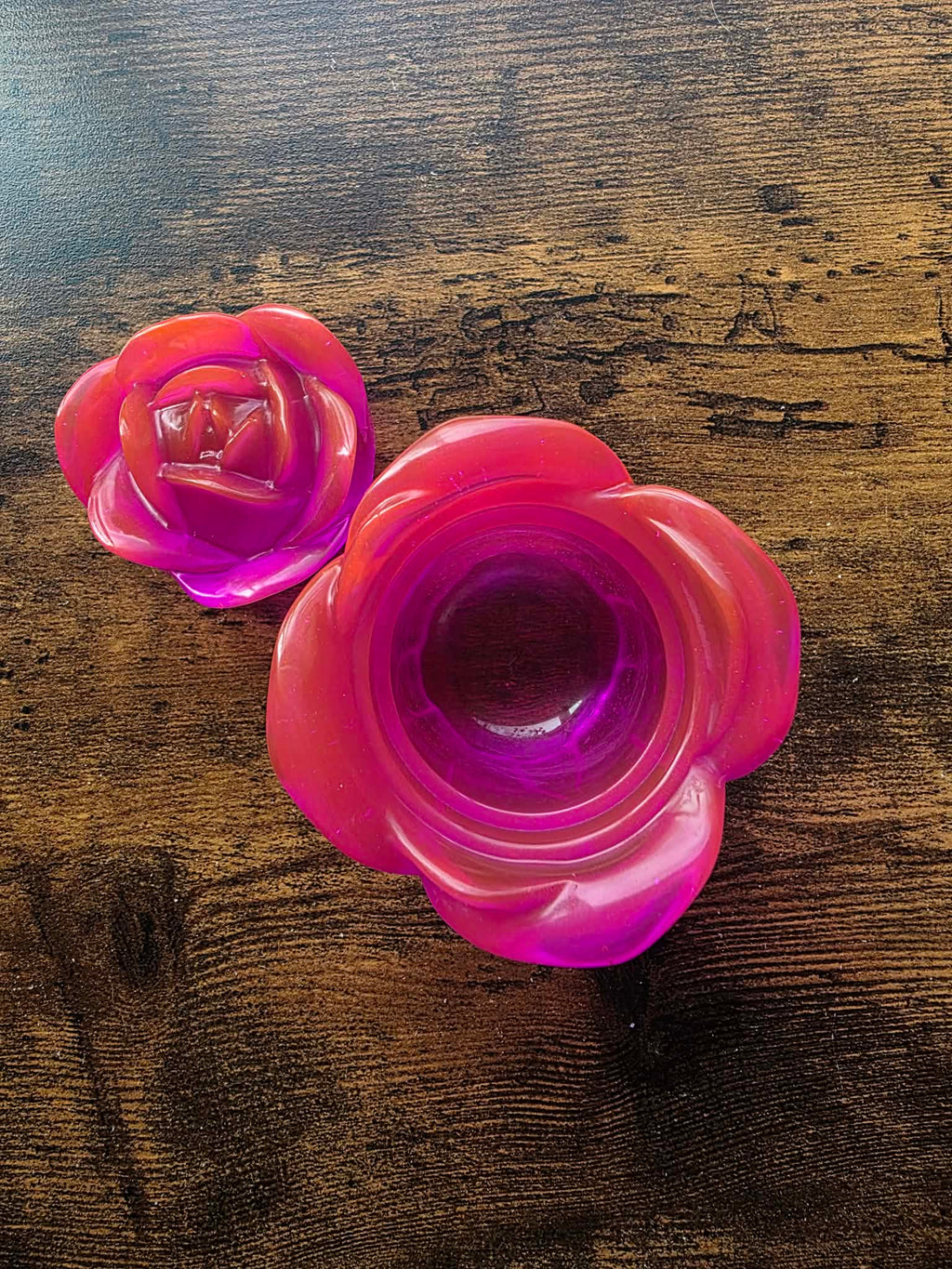 Spellbound Fuchsia Enchanted Rose ~ petite bloom