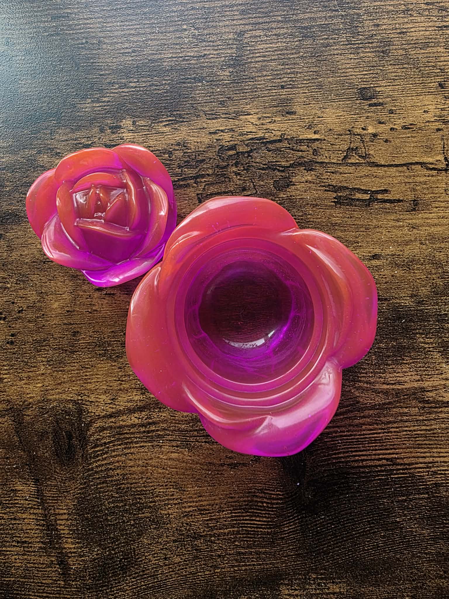 Spellbound Fuchsia Enchanted Rose ~ petite bloom