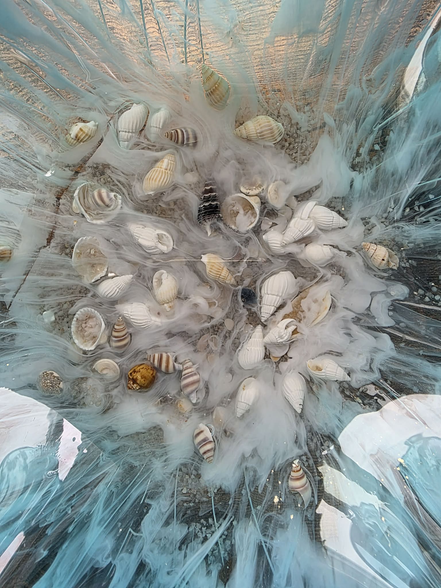 Tidepool Bloom ~ Decorative Bowl
