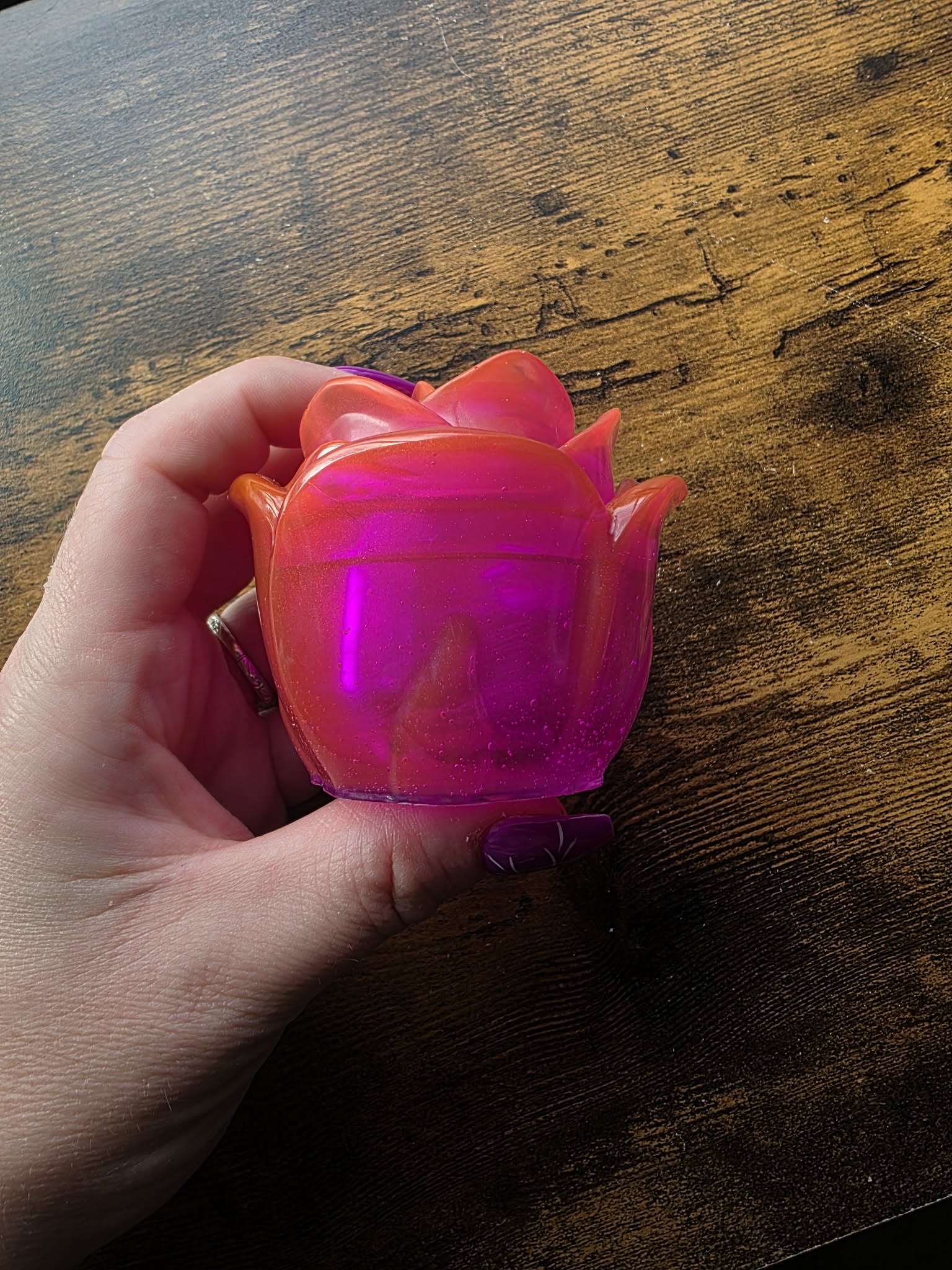 Spellbound Fuchsia Enchanted Rose ~ petite bloom