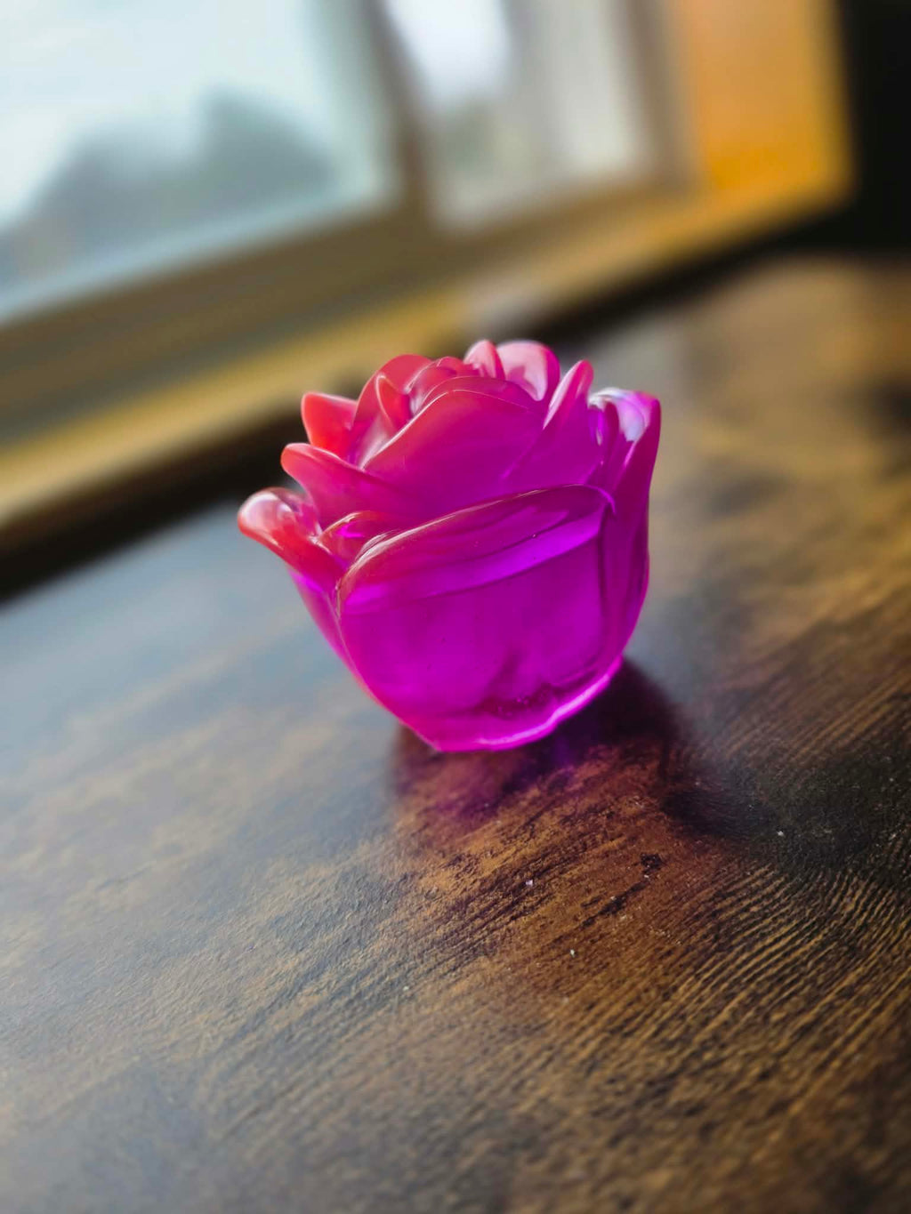 Spellbound Fuchsia Enchanted Rose ~ petite bloom