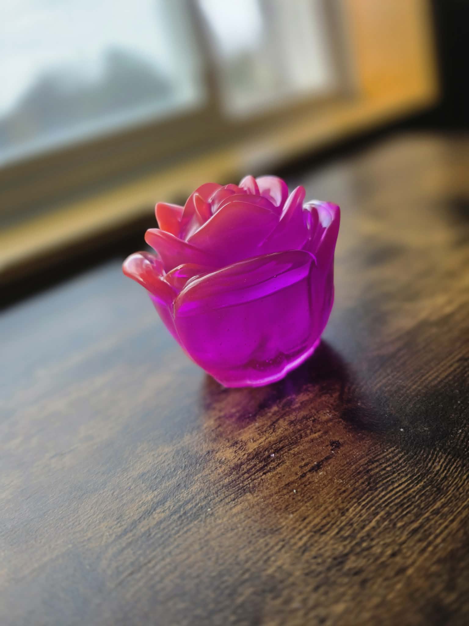 Spellbound Fuchsia Enchanted Rose ~ petite bloom