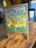 Whispering Meadow Story Window