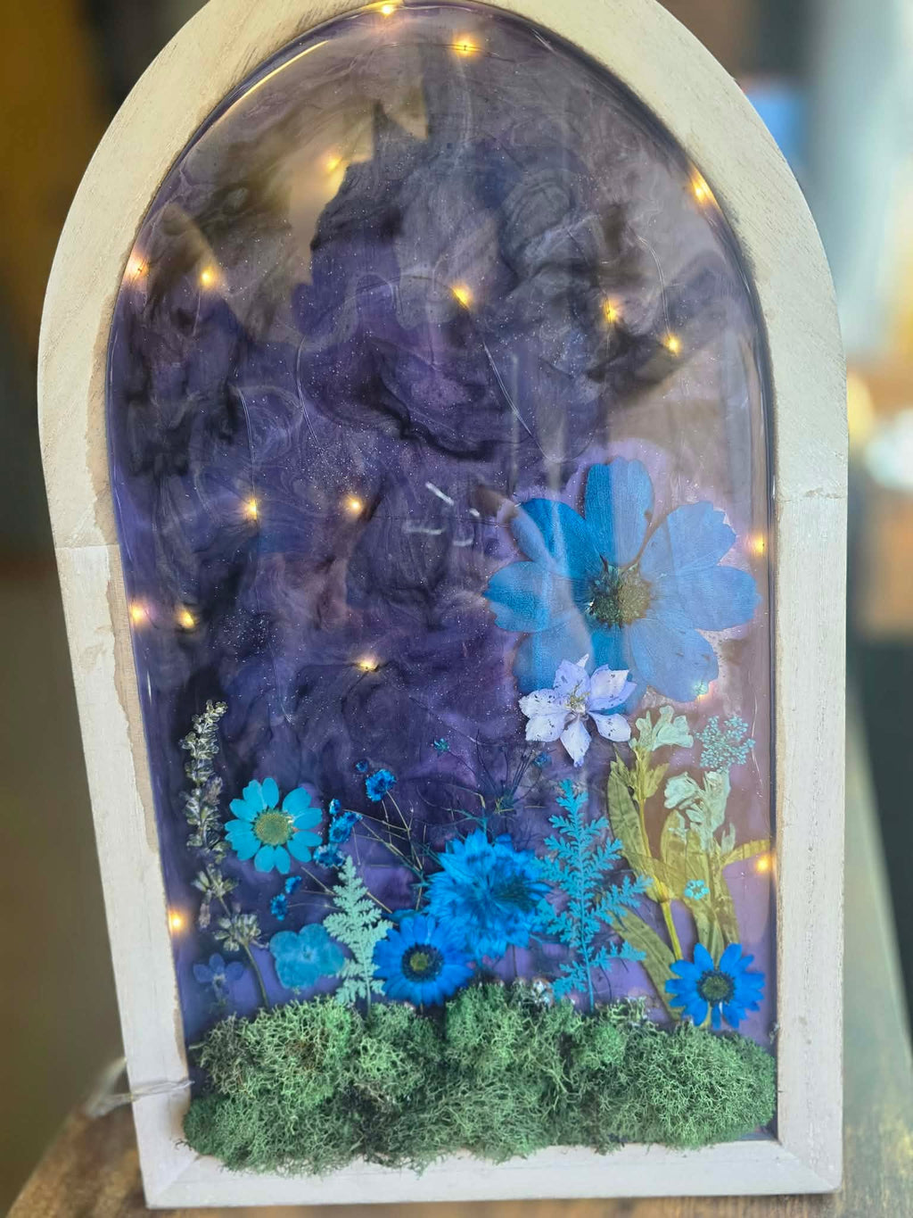 Moonlit Meadow Story Window