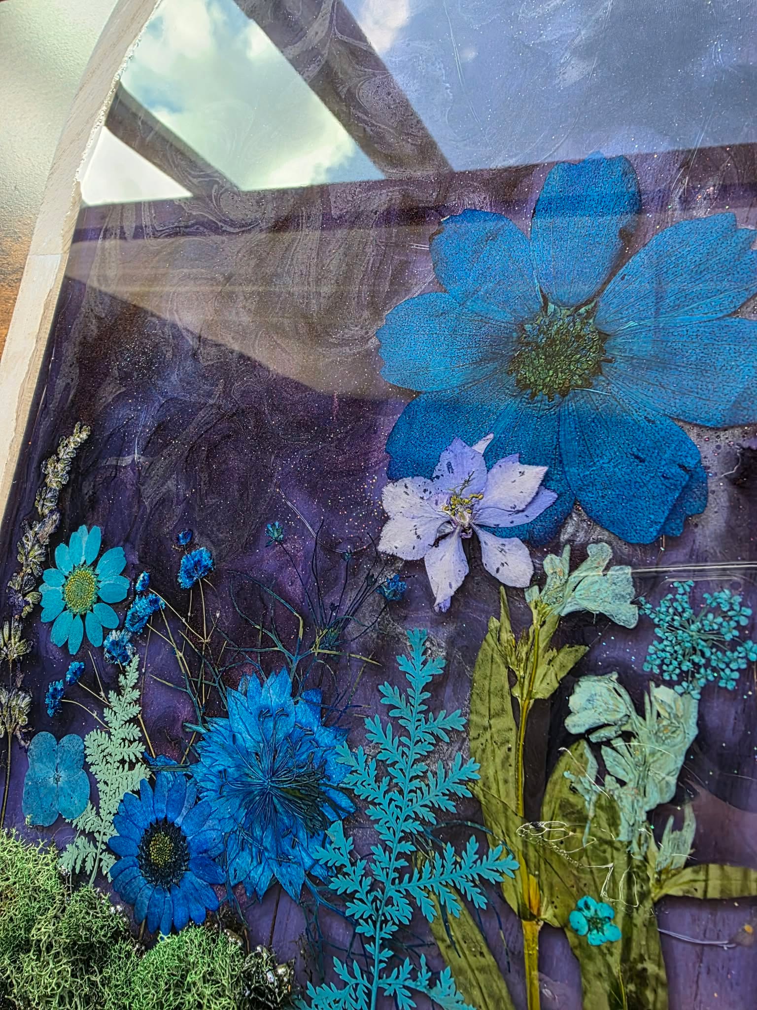 Moonlit Meadow Story Window