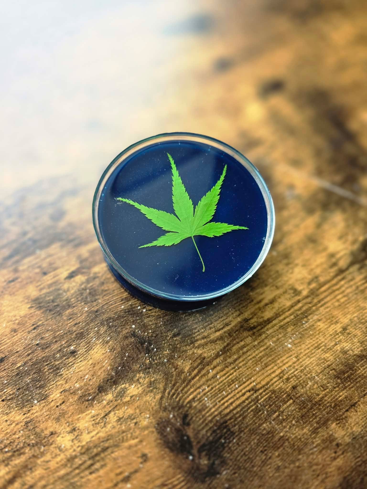Midnight Herbarium Grinder
