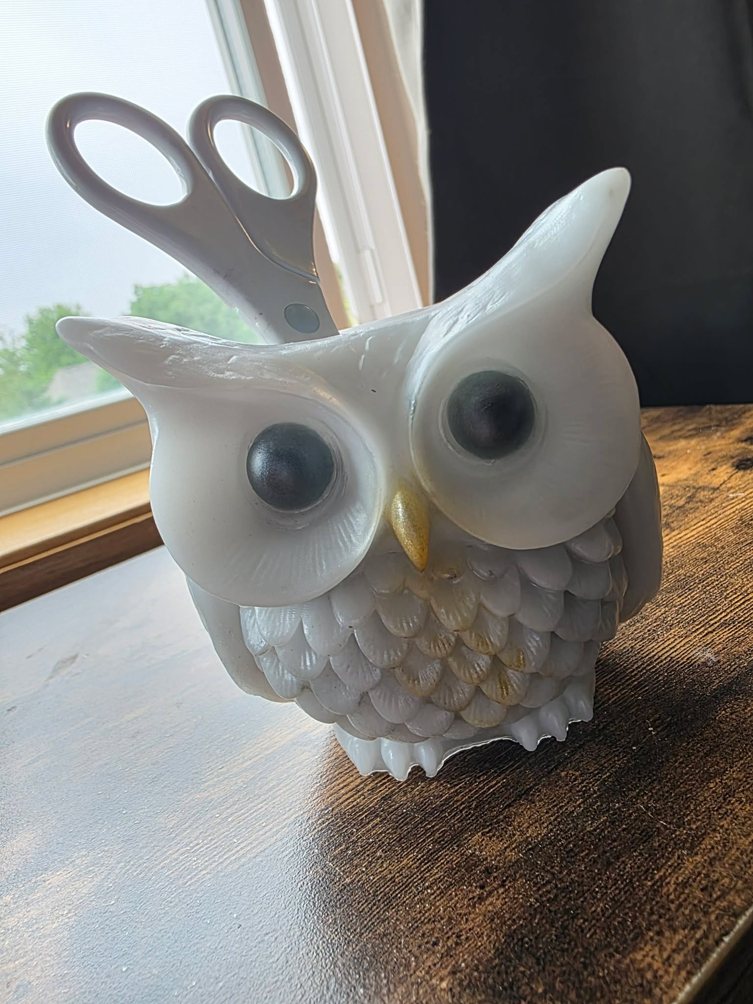 Moonfeather ~ Enchanted Owl Holder