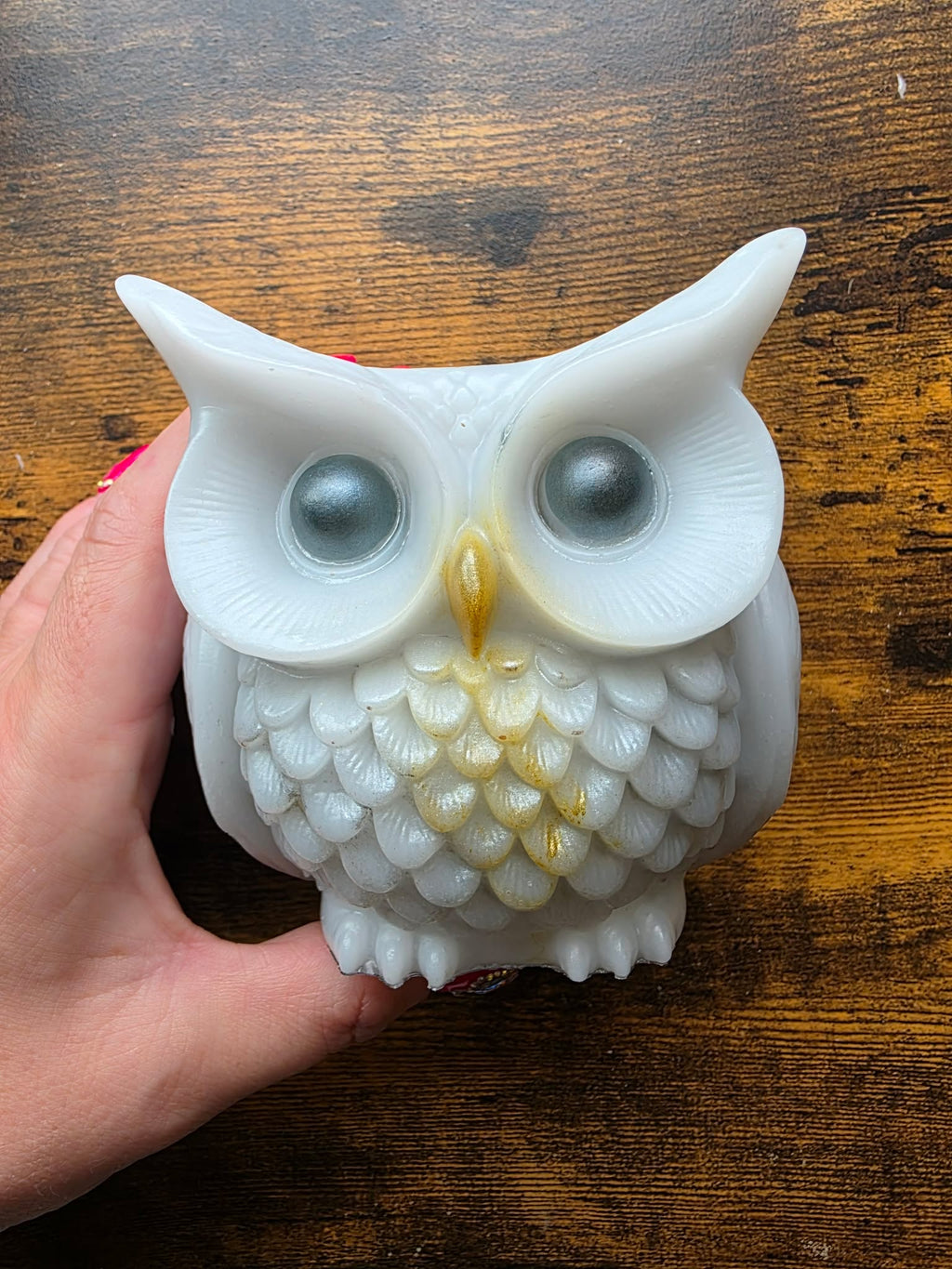 Moonfeather ~ Enchanted Owl Holder