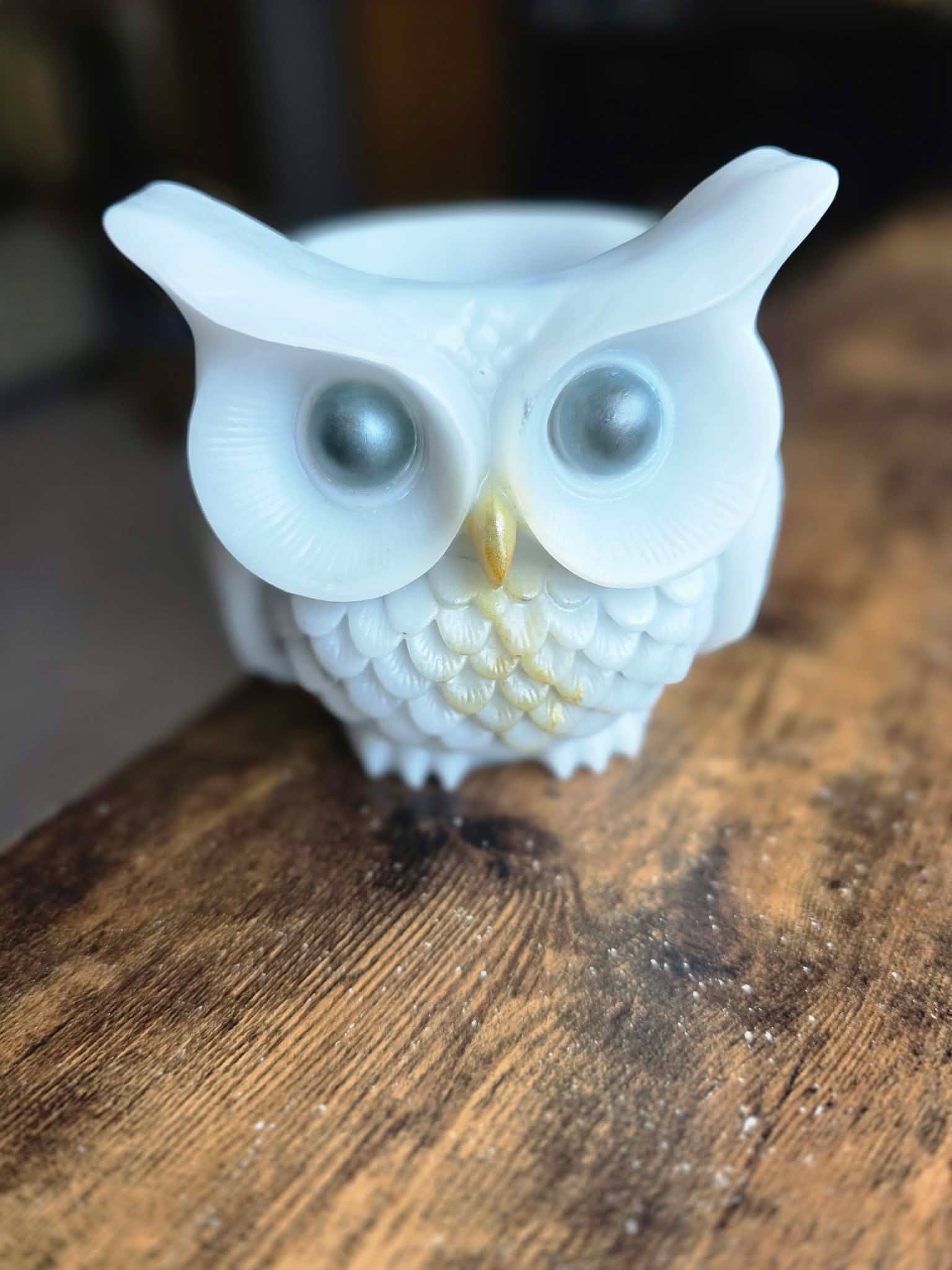 Moonfeather ~ Enchanted Owl Holder