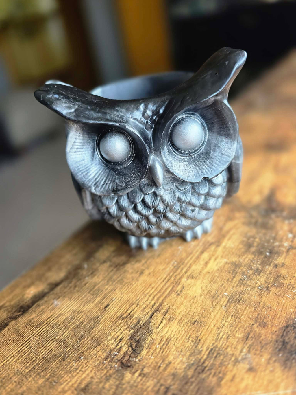 Moonshadow ~ Enchanted Owl Holder