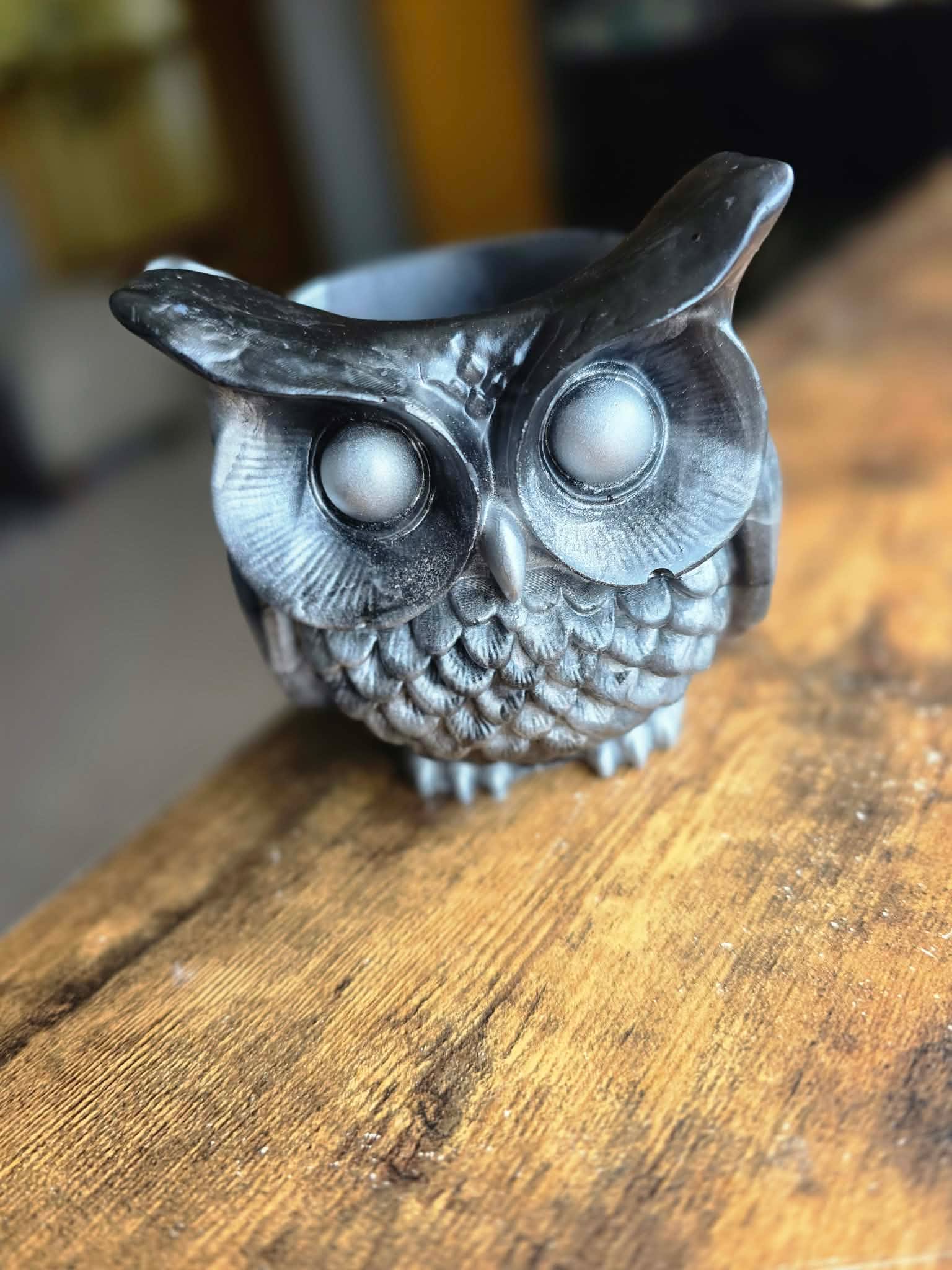 Moonshadow ~ Enchanted Owl Holder