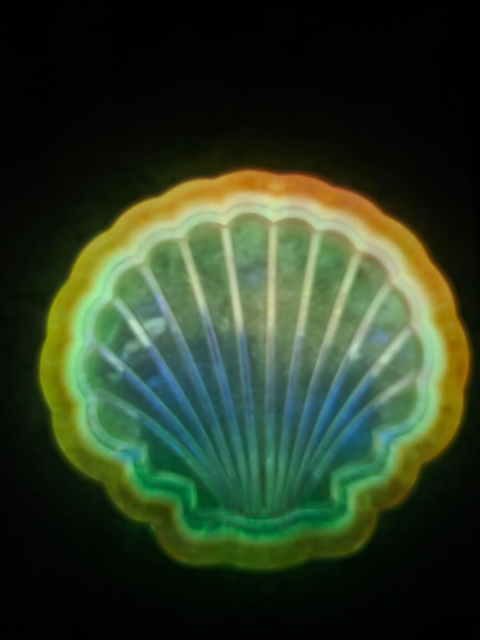 Mermaid's Lantern ~ Shell Trinket Tray