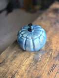 Moonshadow ~ Enchanted Pumpkin Jars