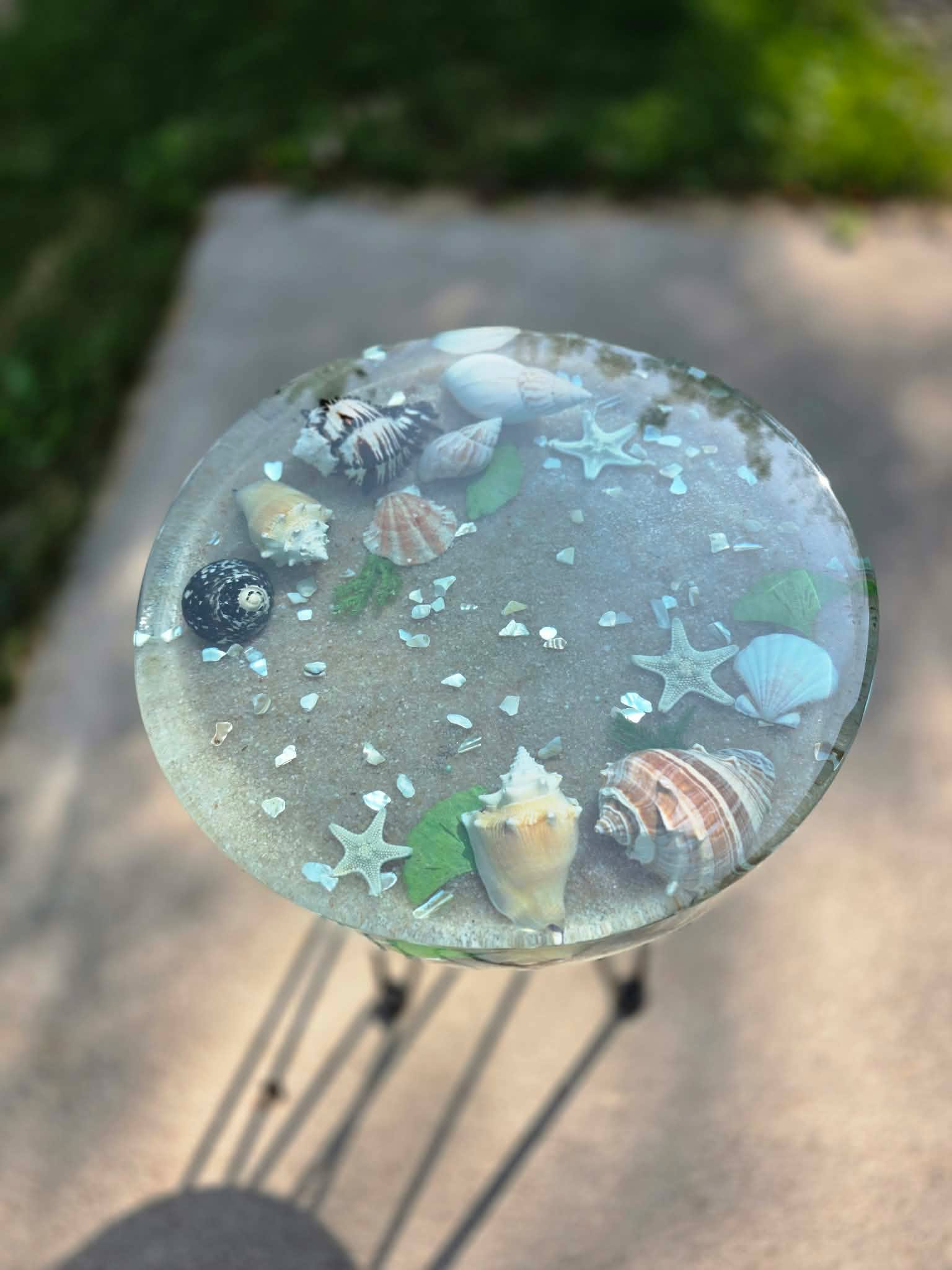 Tidepool Treasure Table