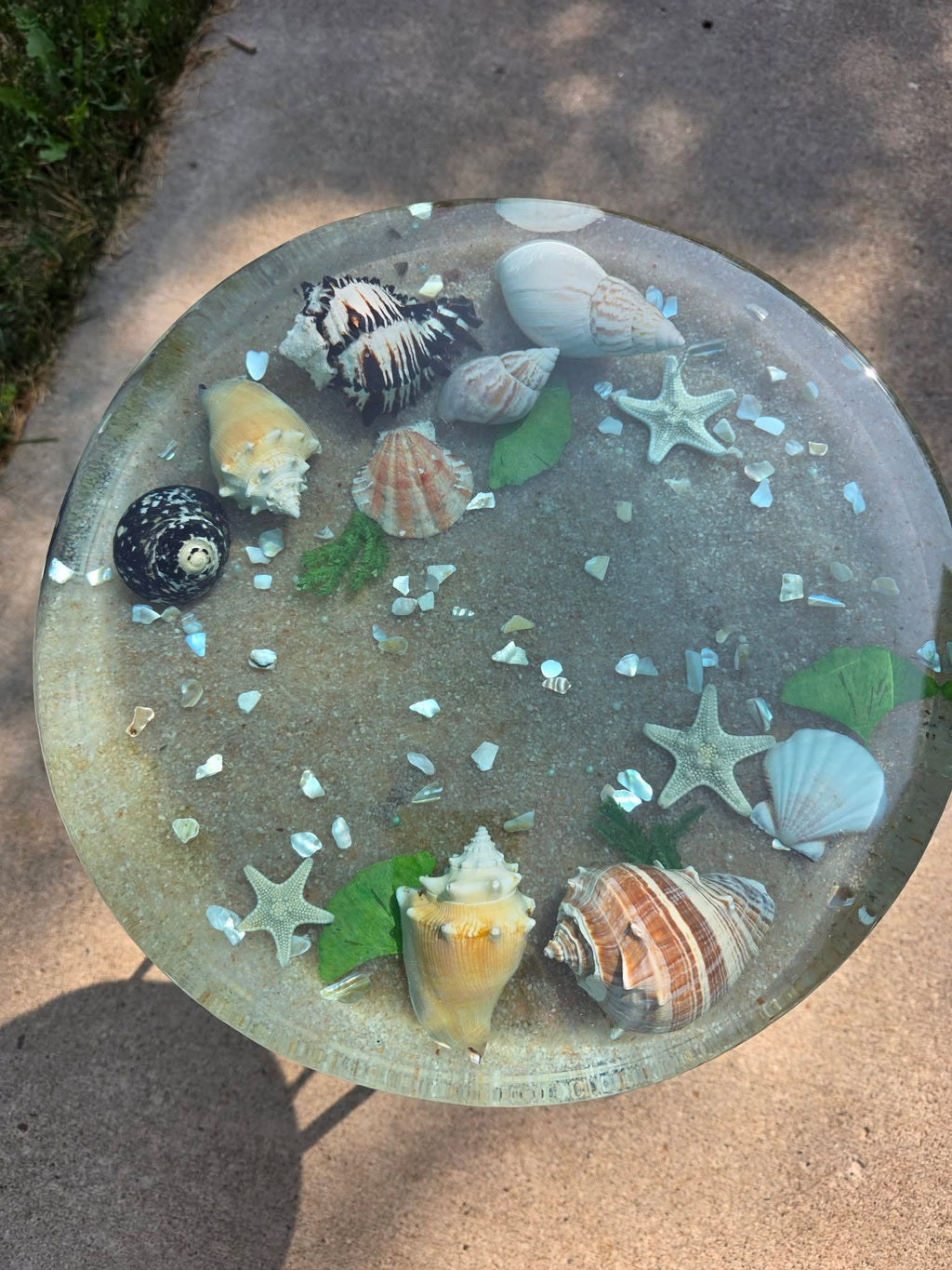 Tidepool Treasure Table