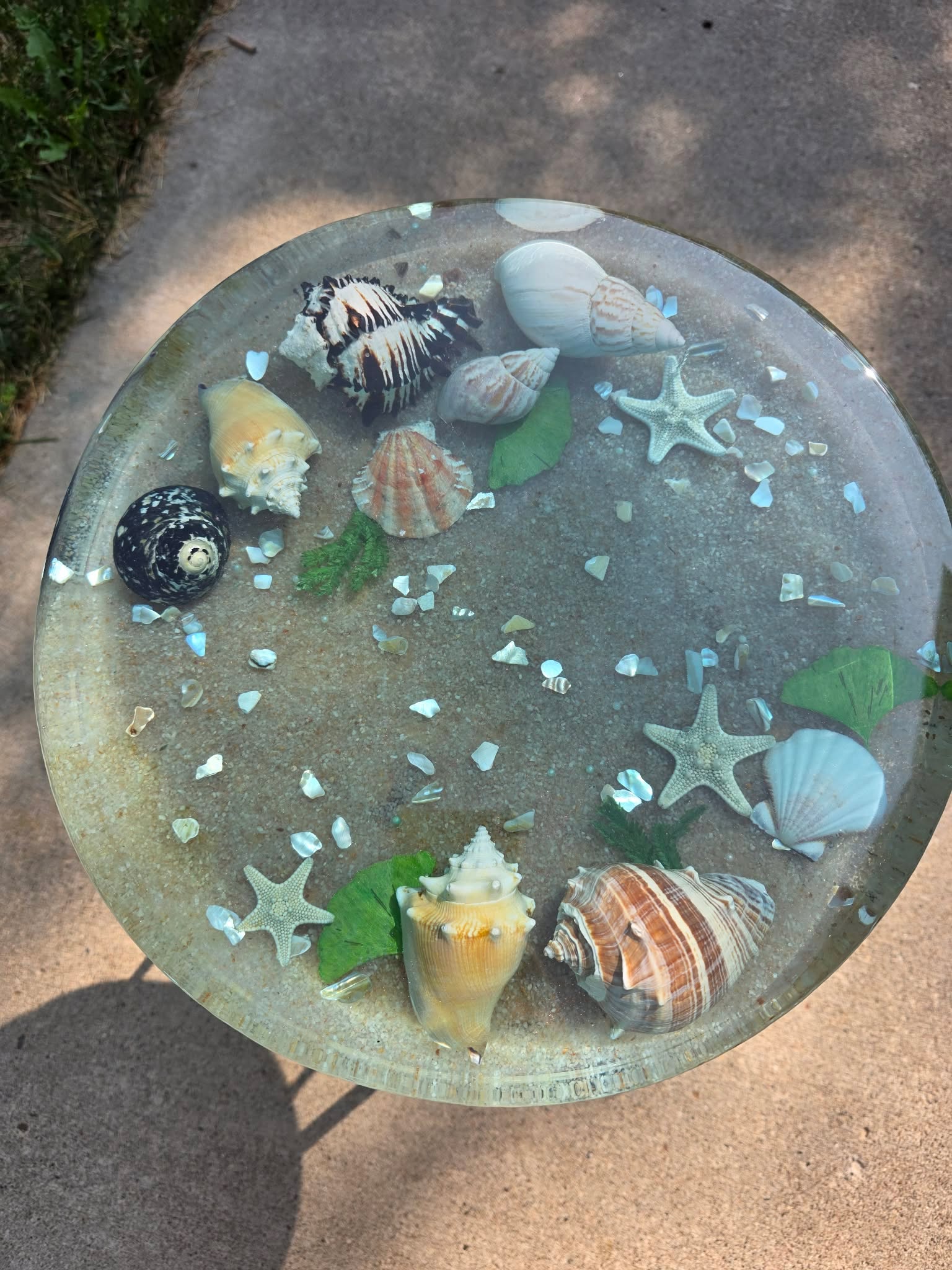 Tidepool Treasure Table