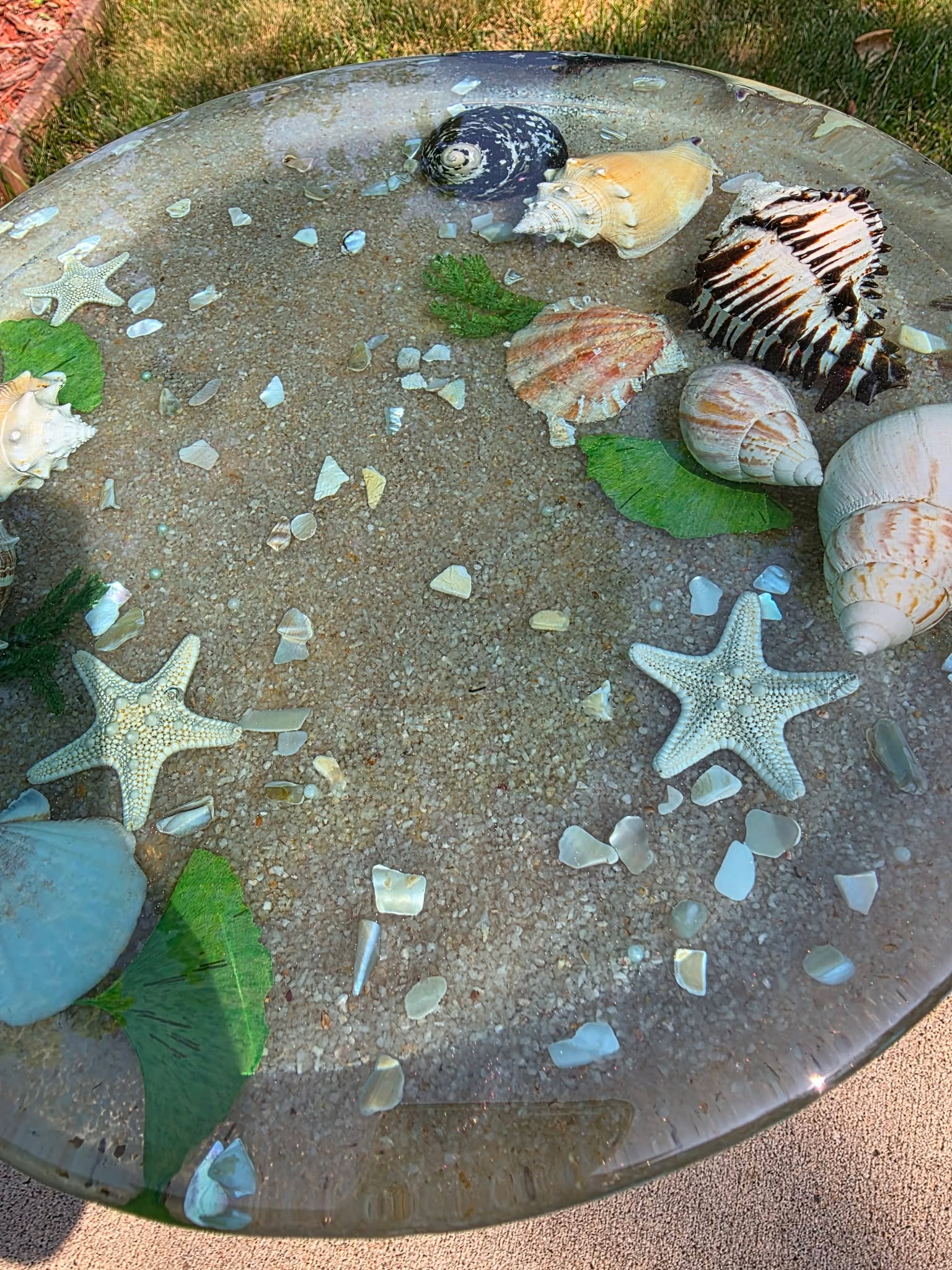 Tidepool Treasure Table