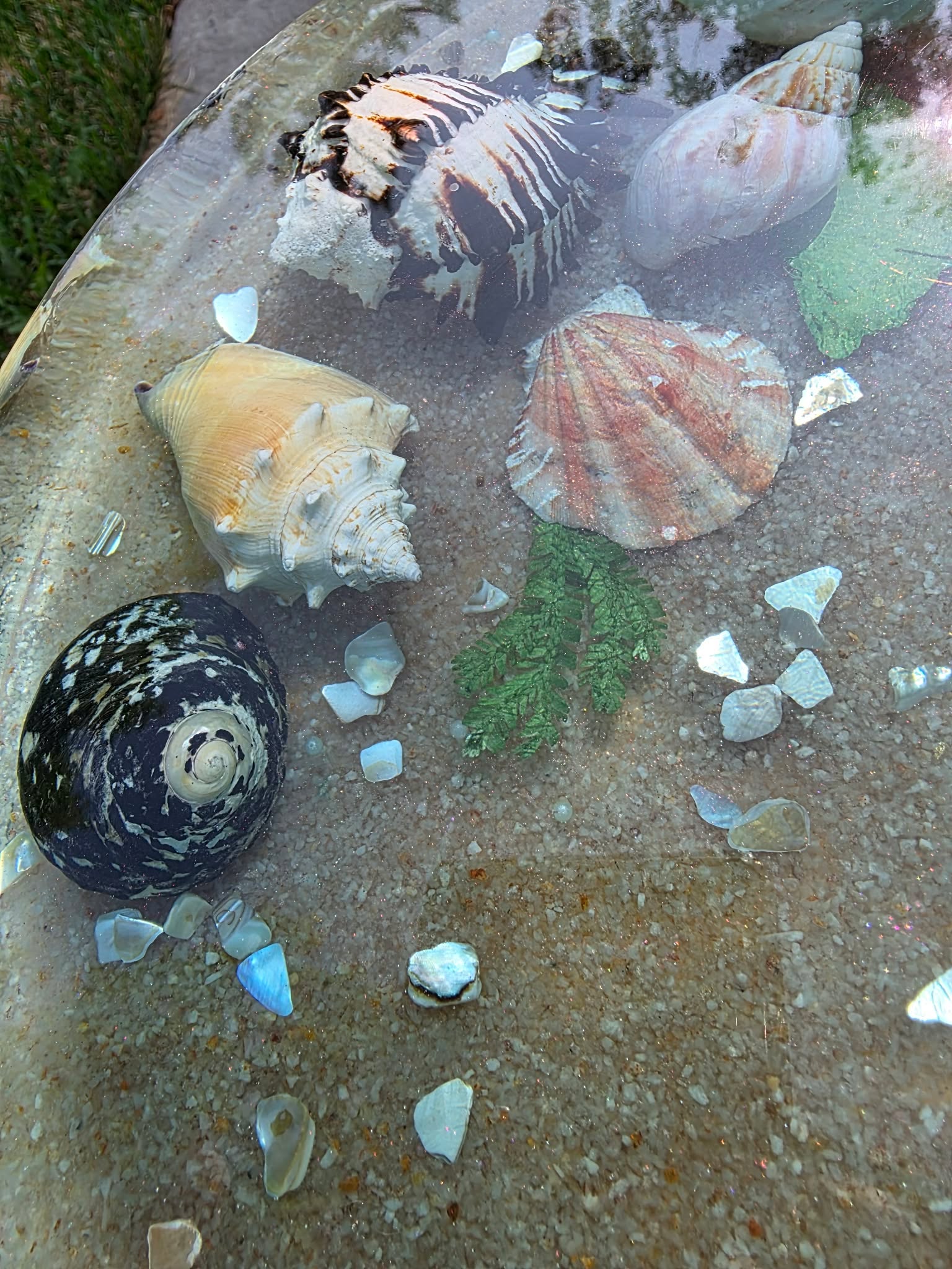 Tidepool Treasure Table