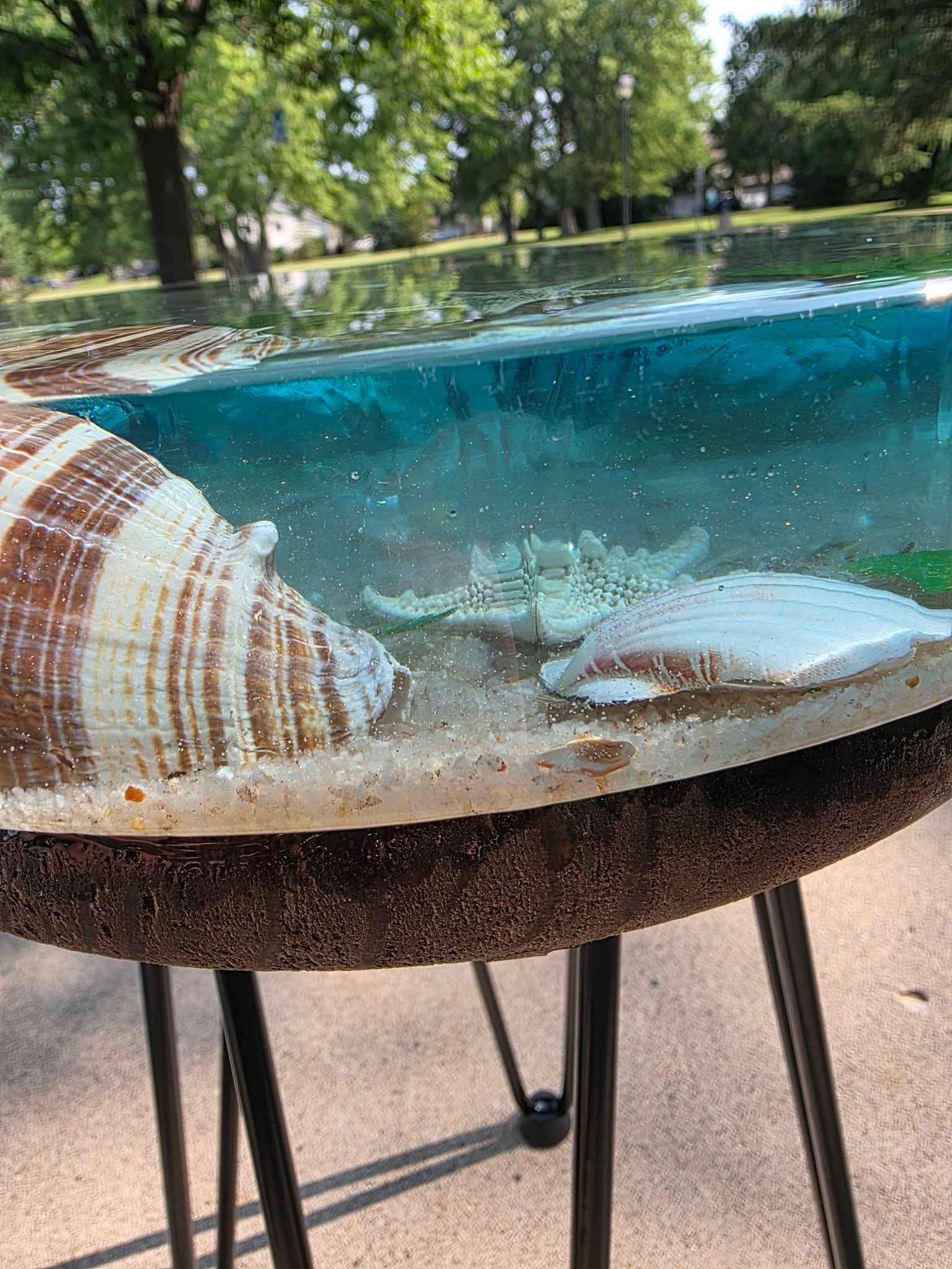 Tidepool Treasure Table