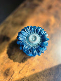 Midnight Stardust Flower Box