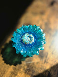 Seafoam Bloom Flower Box