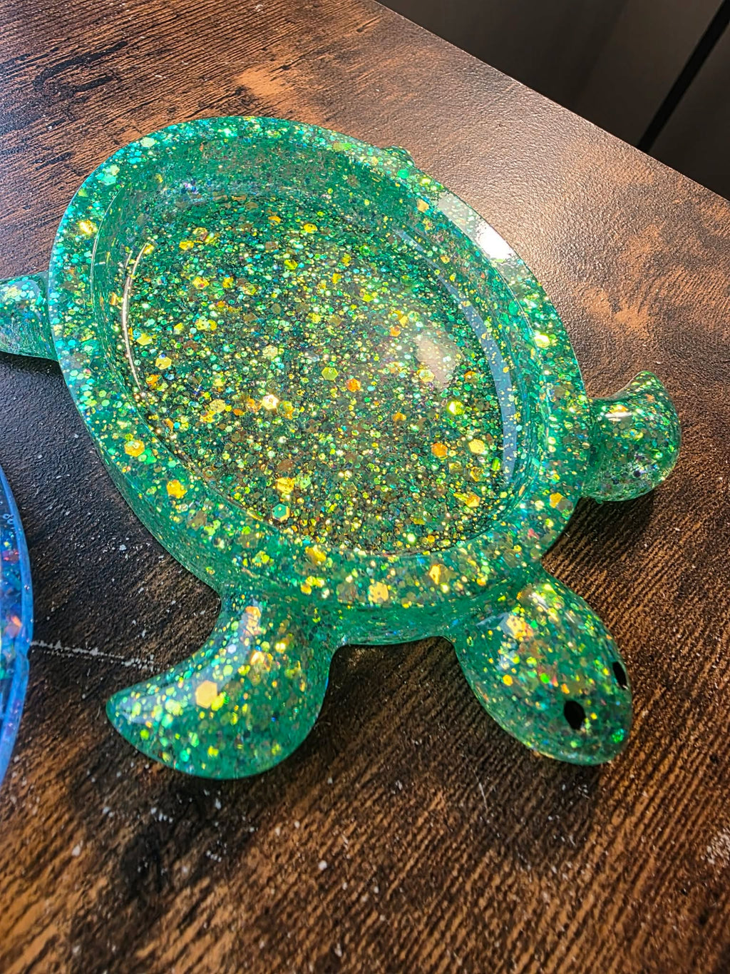 Aurora Shell Turtle Keeper