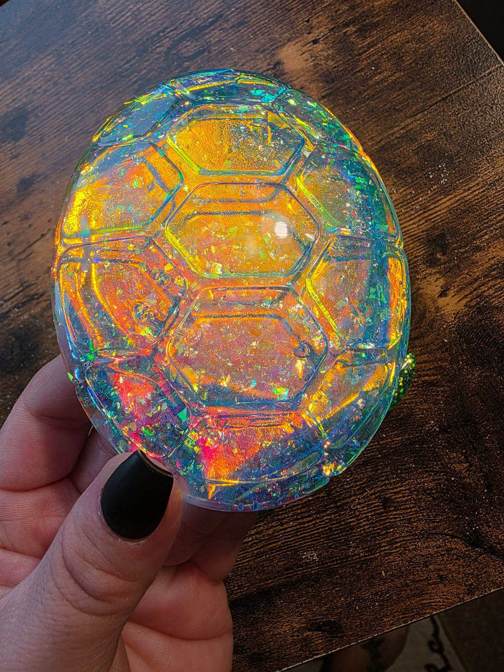 Aurora Shell Turtle Keeper