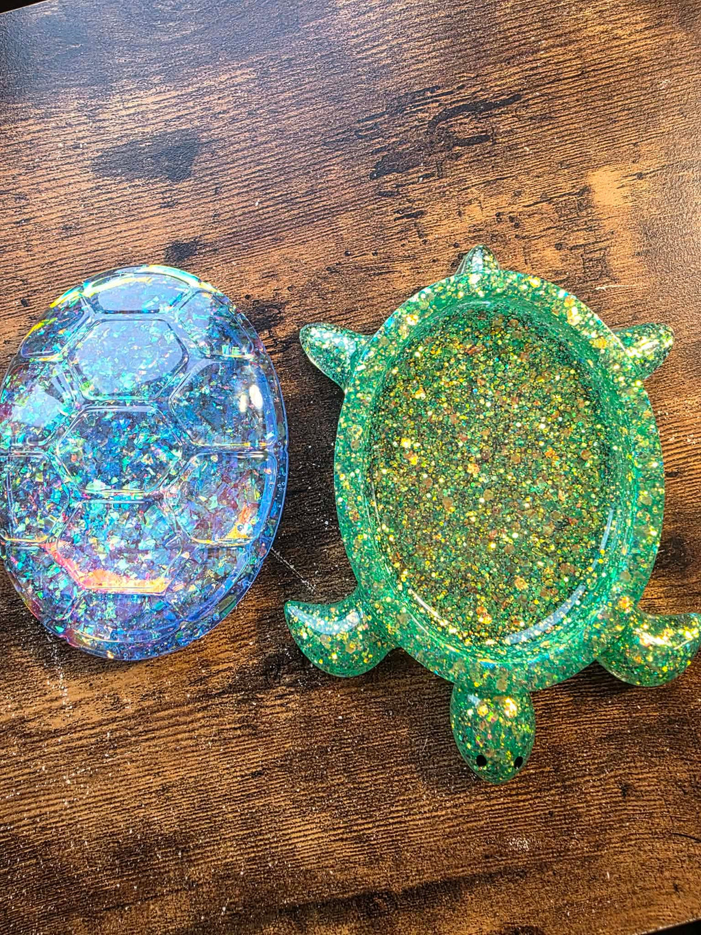 Aurora Shell Turtle Keeper
