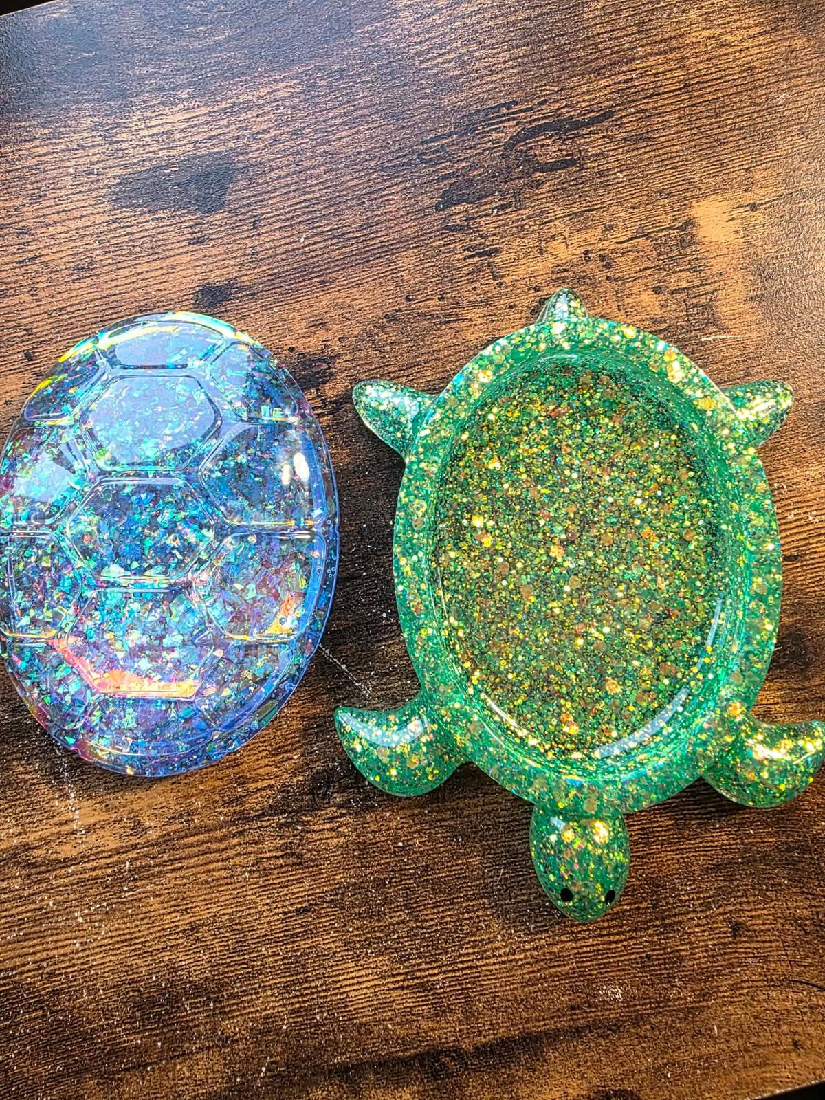 Aurora Shell Turtle Keeper