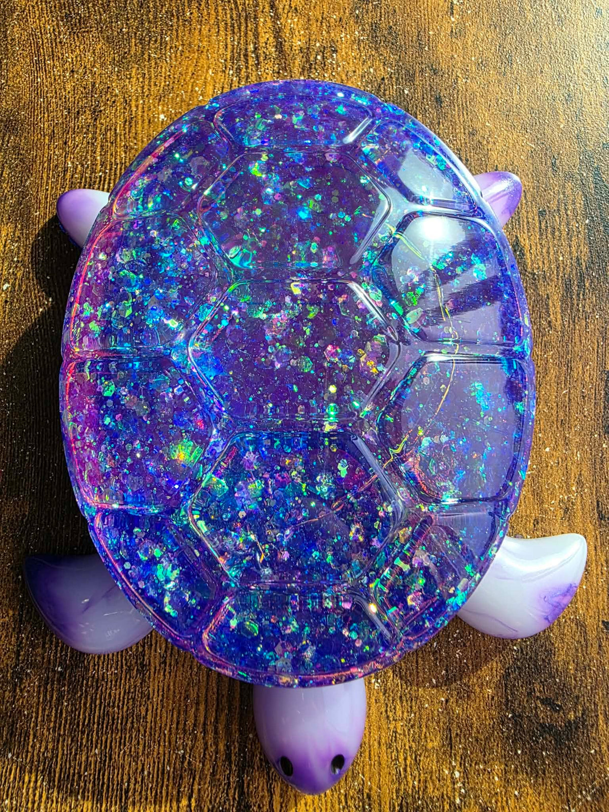 Mystic Prism Turtle Keeper