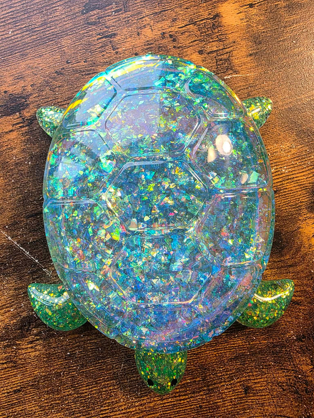 Aurora Shell Turtle Keeper