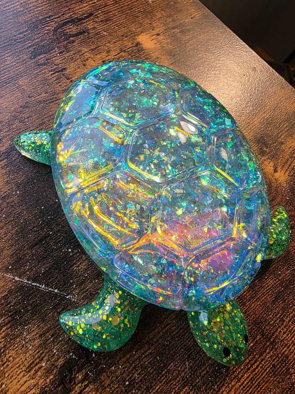 Aurora Shell Turtle Keeper