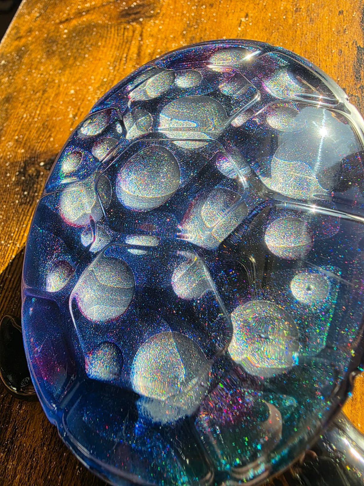 Astral Bubble Turtle Keeper