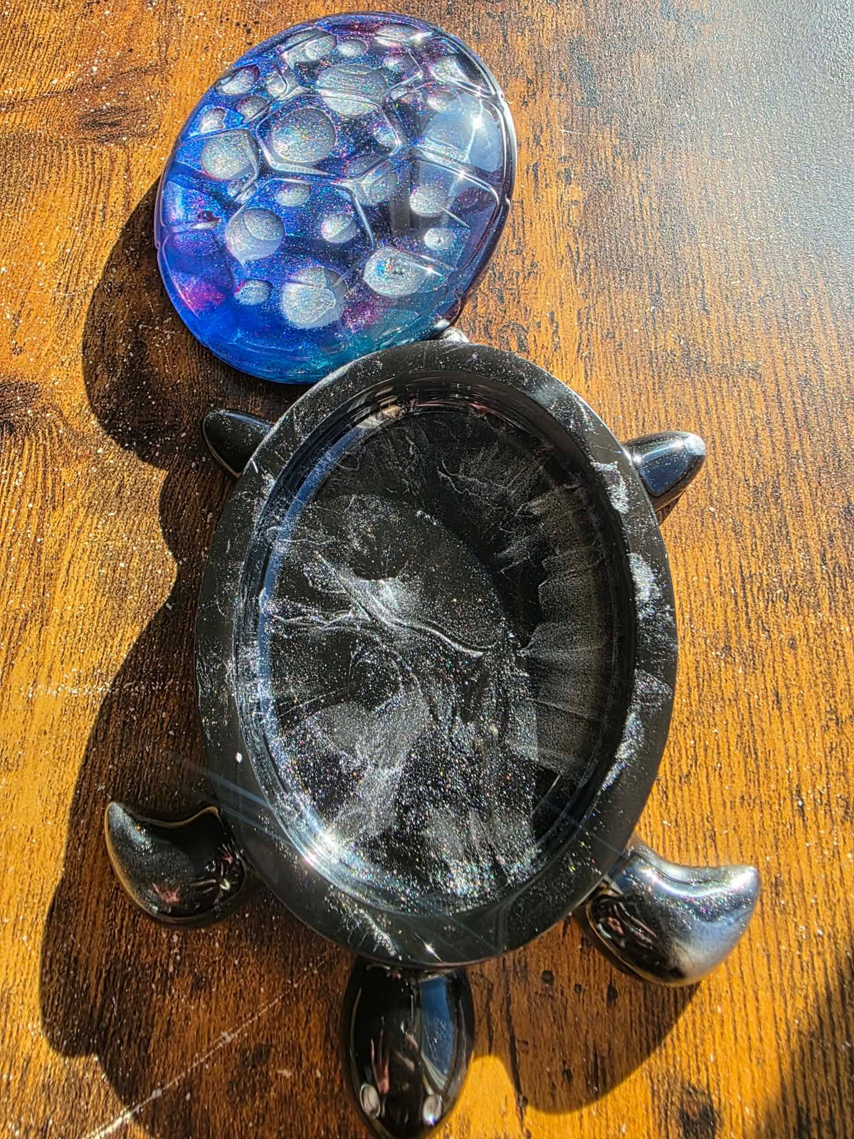 Astral Bubble Turtle Keeper