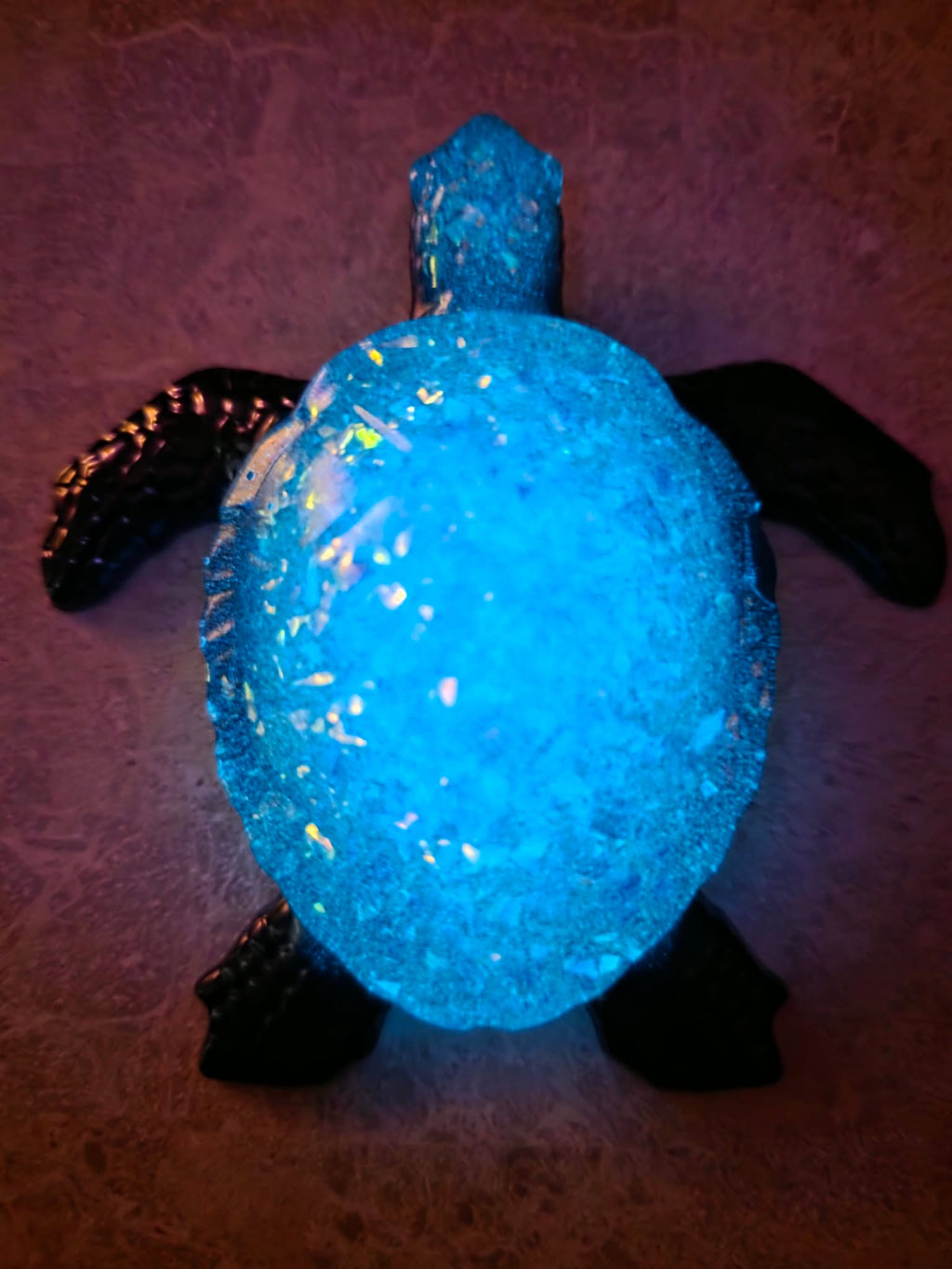 Midnight Tide Glow-in-the-Dark Turtle