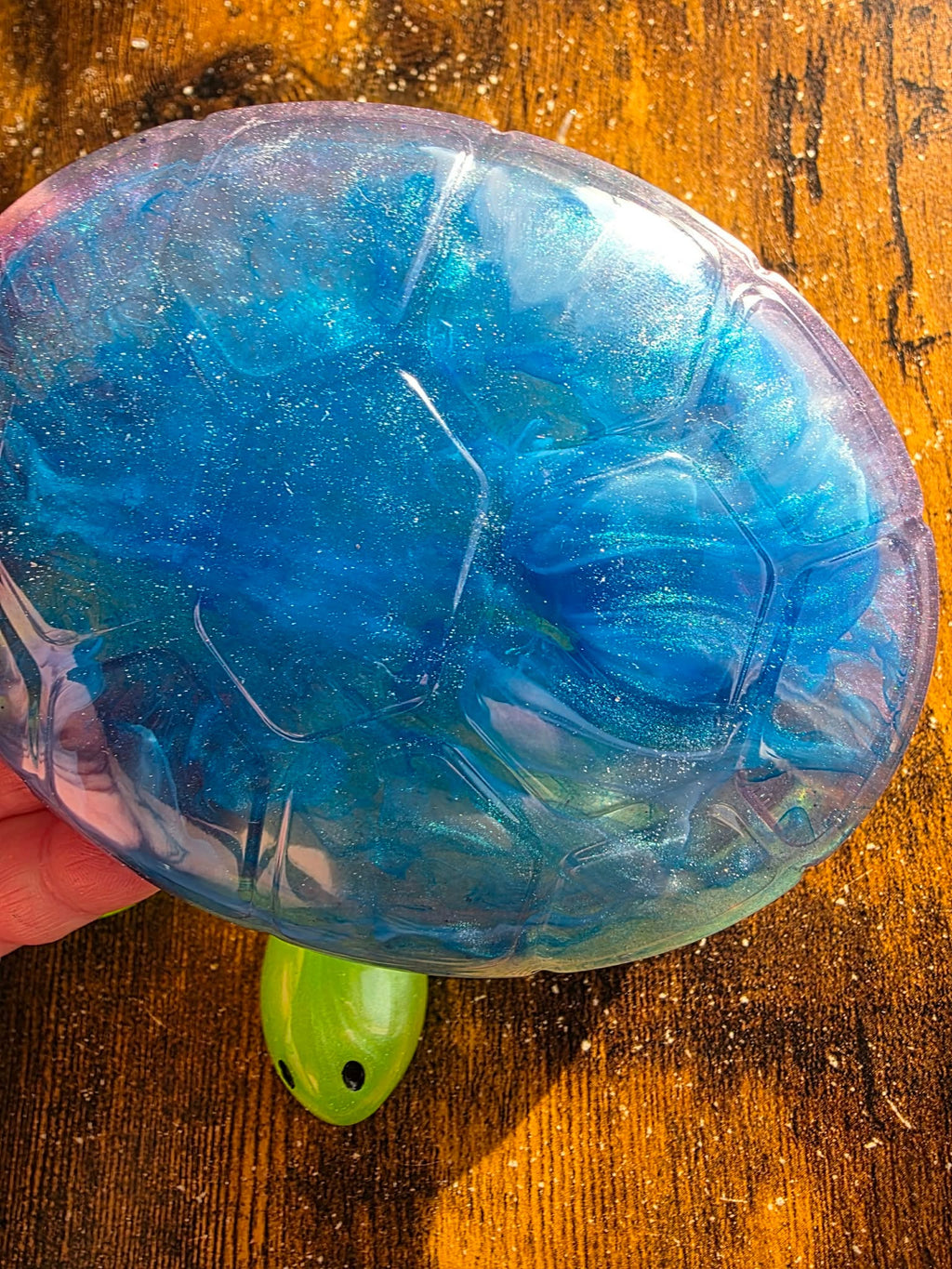 Ocean Sparkle ~ Turtle Keeper