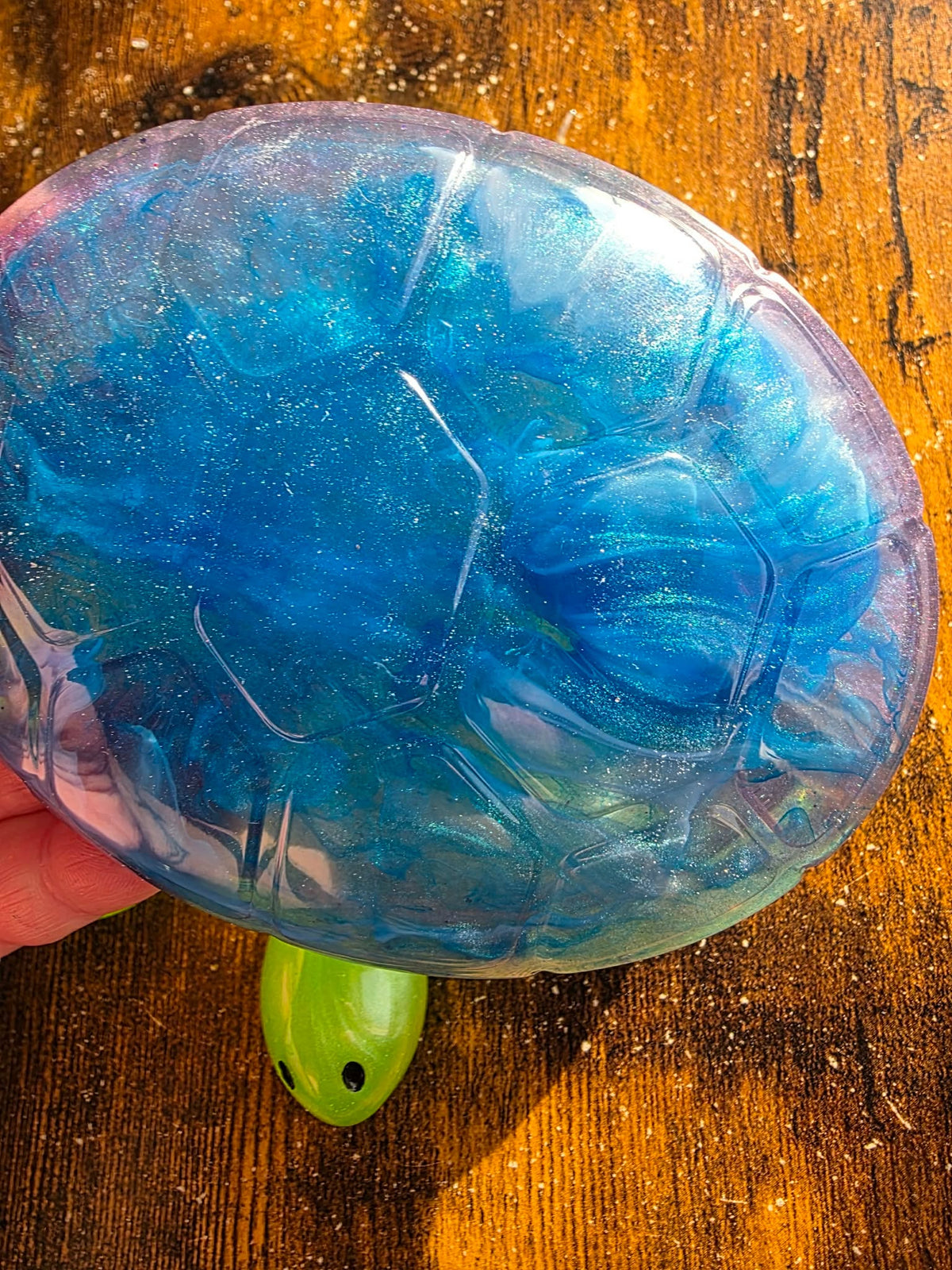Ocean Sparkle ~ Turtle Keeper